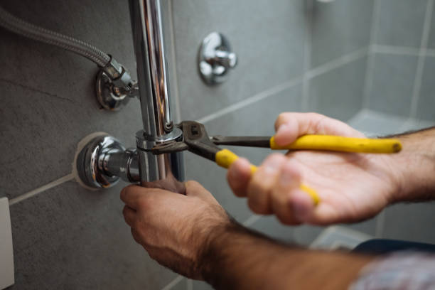 Best Commercial Plumbing Services  in Fort Denaud, FL